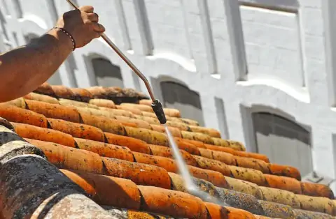 Nettoyage de toitures - Sainte-Scolasse-sur-Sarthe